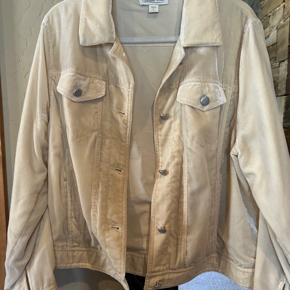Velvet Jacket by Coldwater Creek L - Picture 5 of 9